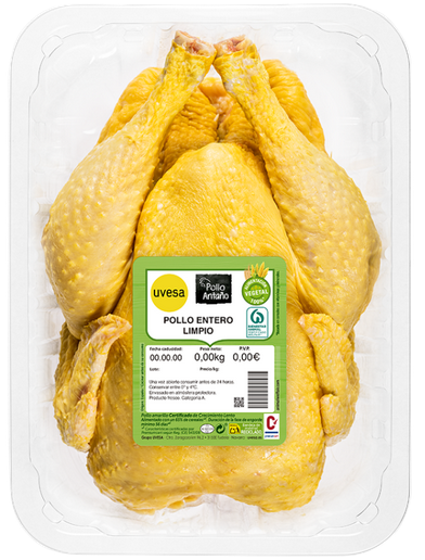 Pollo
